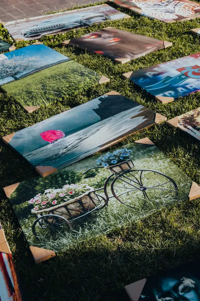 Canvas / Silk